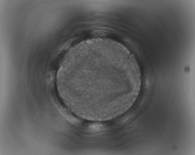 X0000112150759200908281340