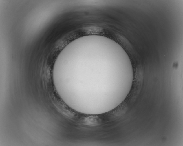 X0000112150761200908281340