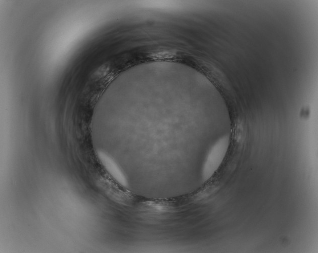 X0000112150763200908281340