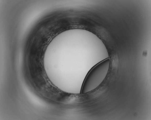 X0000112150764200908281340