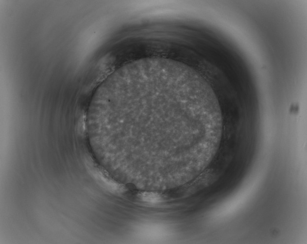 X0000112150766200908281340