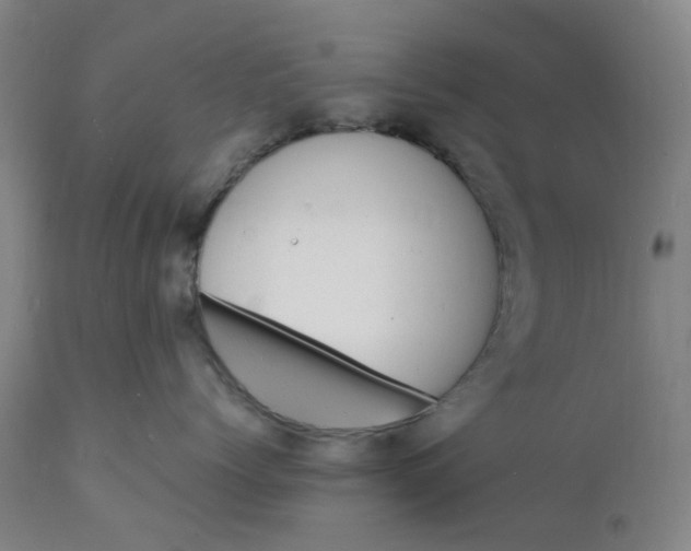 X0000112150768200908281340