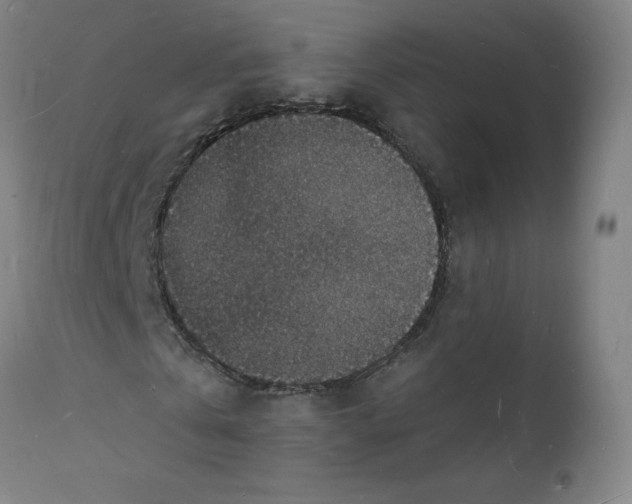 X0000112150769200908281339