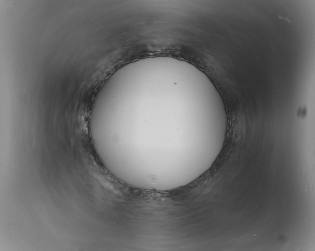 X0000112150770200908281339