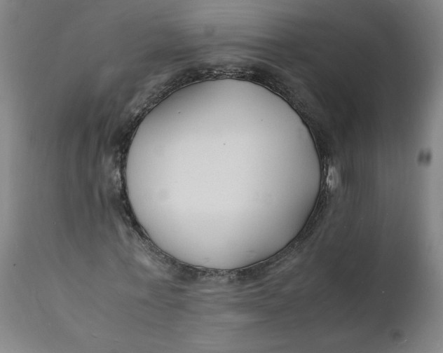 X0000112150771200908281339