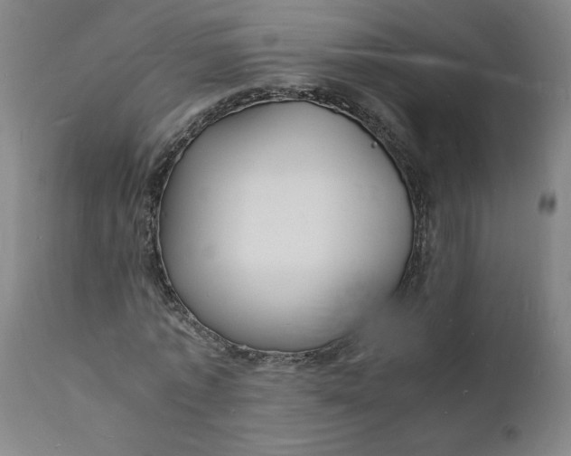 X0000112150773200908281339