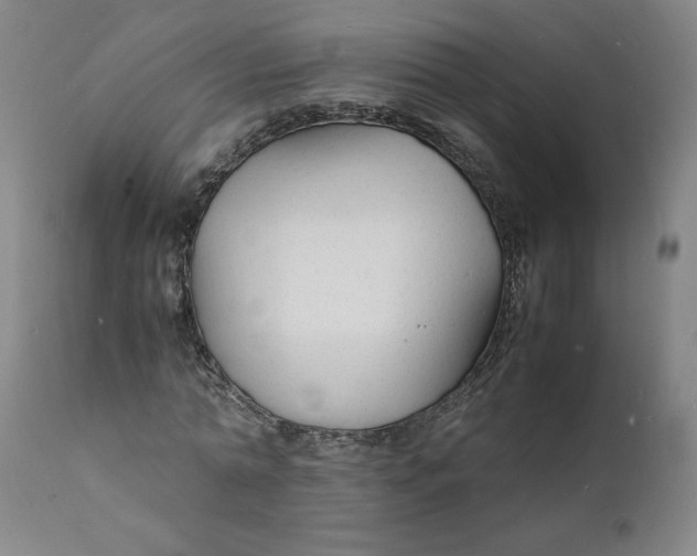 X0000112150774200908281339