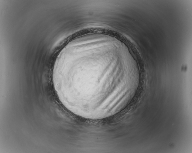 X0000112150775200908281339
