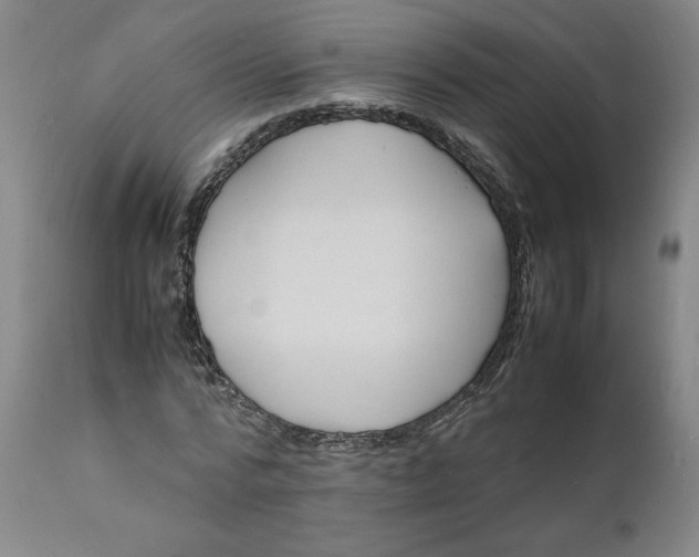 X0000112150776200908281339