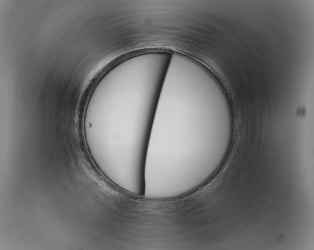 X0000112150780200908281339
