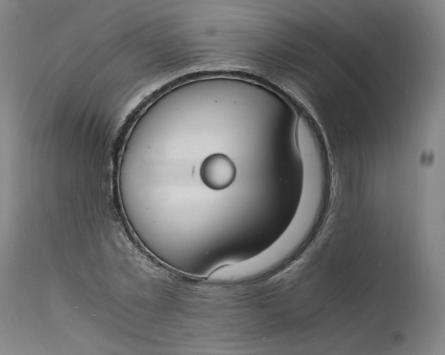 X0000112150781200908281339