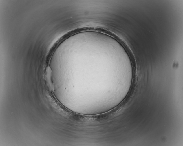 X0000112150783200908281339