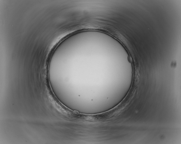 X0000112150787200908281339