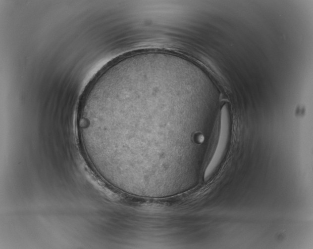 X0000112150788200908281339