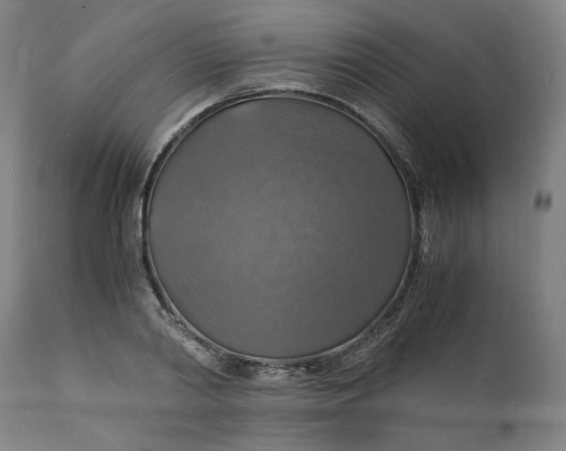 X0000112150790200908281339