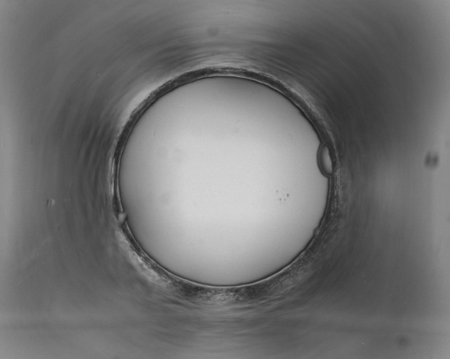 X0000112150791200908281339