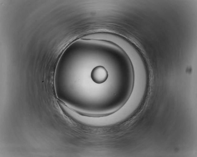 X0000112150793200908281339