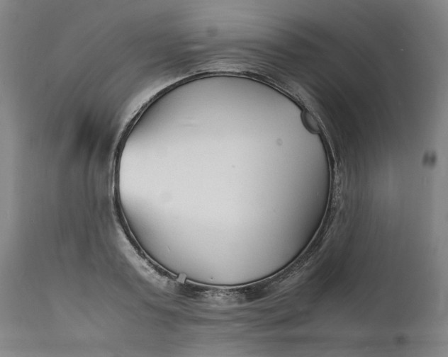 X0000112150795200908281339