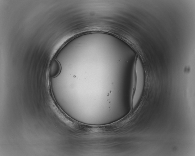 X0000112150796200908281339