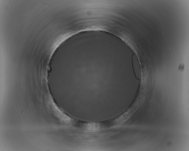 X0000112150797200908281339