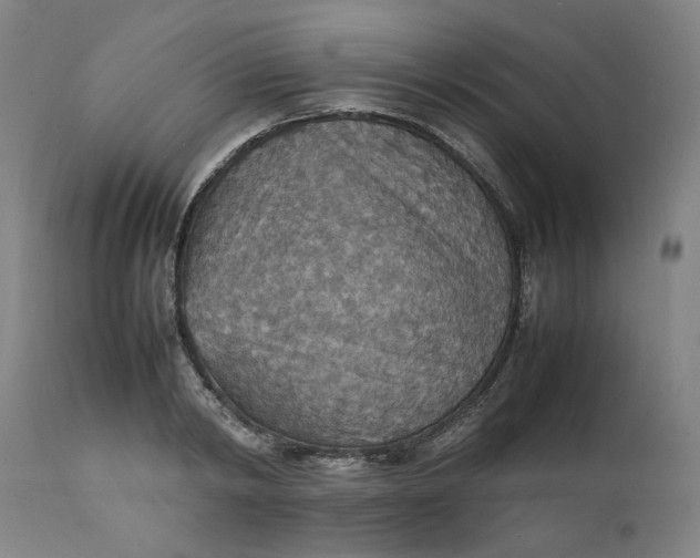 X0000112150798200908281338