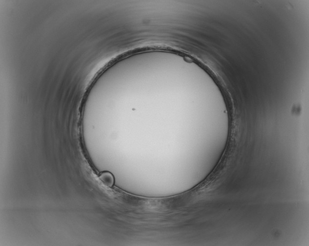 X0000112150799200908281338