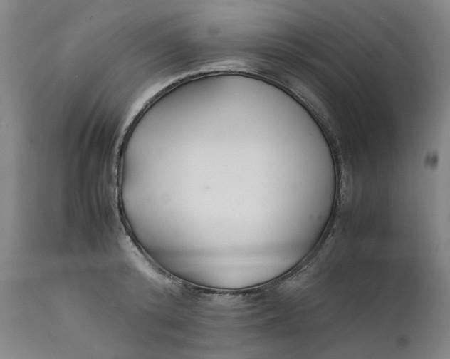 X0000112150800200908281338