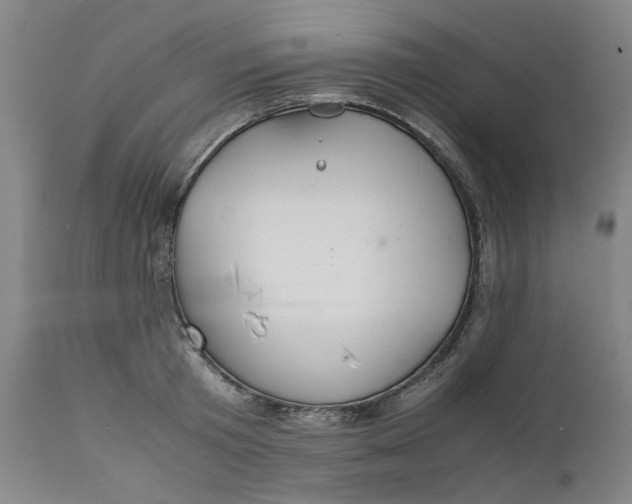 X0000112150801200908281338
