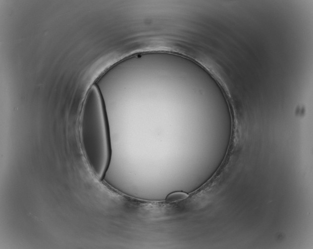 X0000112150805200908281338