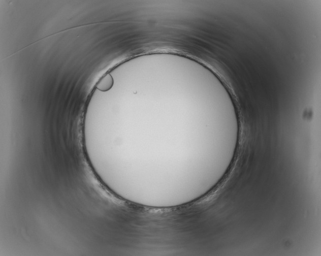 X0000112150806200908281338