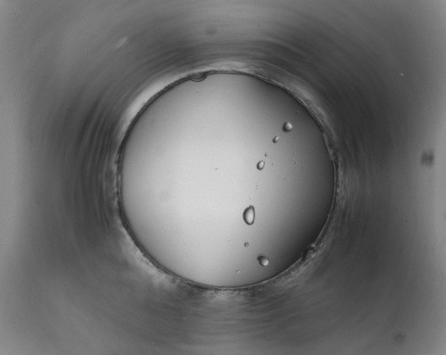 X0000112150808200908281338