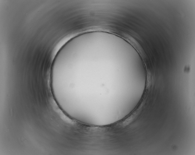X0000112150812200908281338