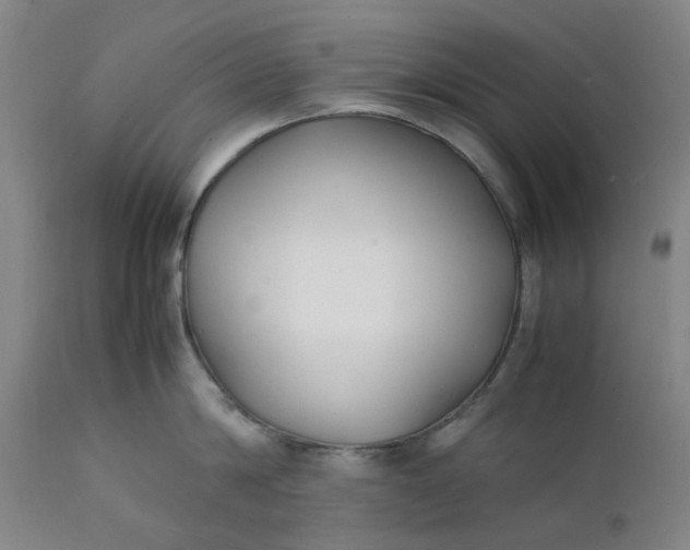 X0000112150814200908281338