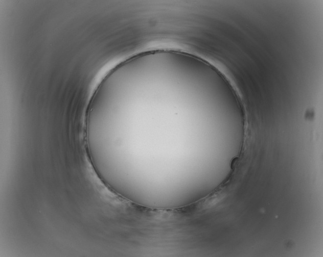 X0000112150815200908281338