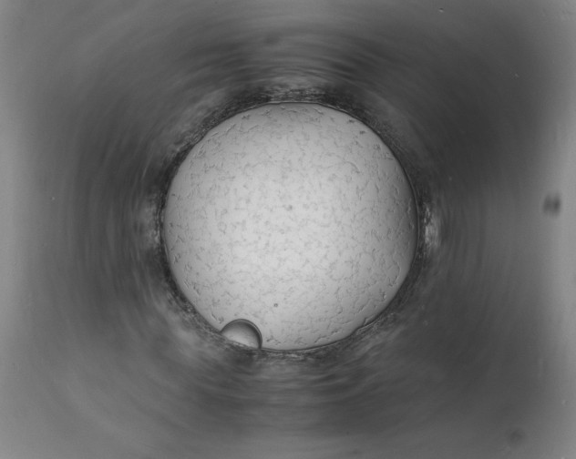 X0000112150819200908281338