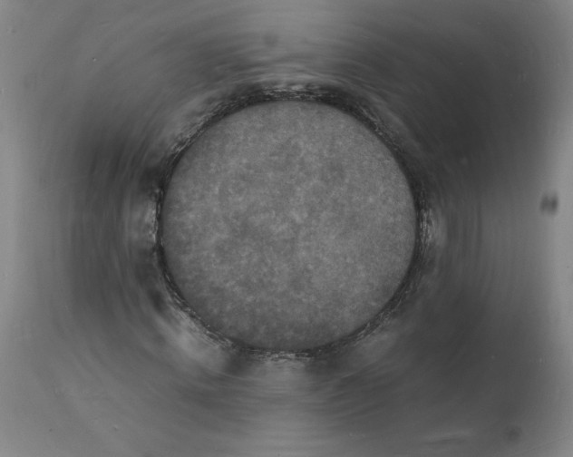 X0000112150820200908281338