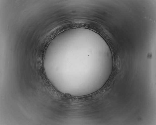 X0000112150821200908281338