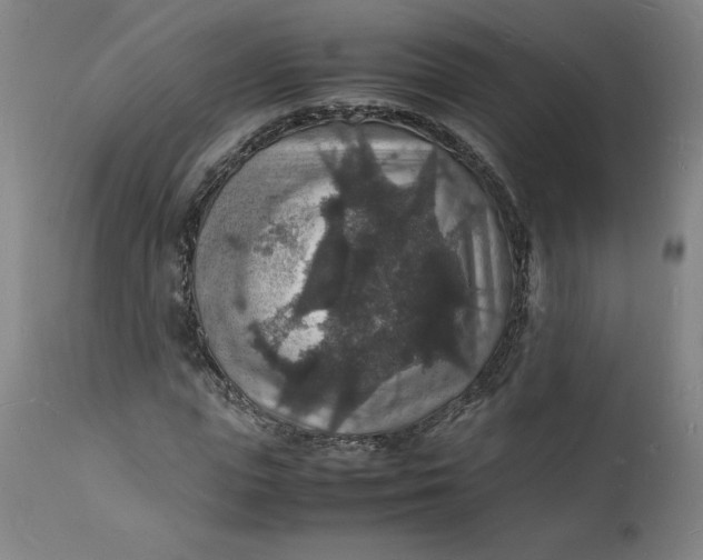 X0000112150823200908281338