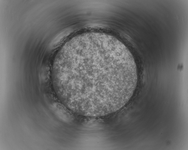 X0000112150824200908281338