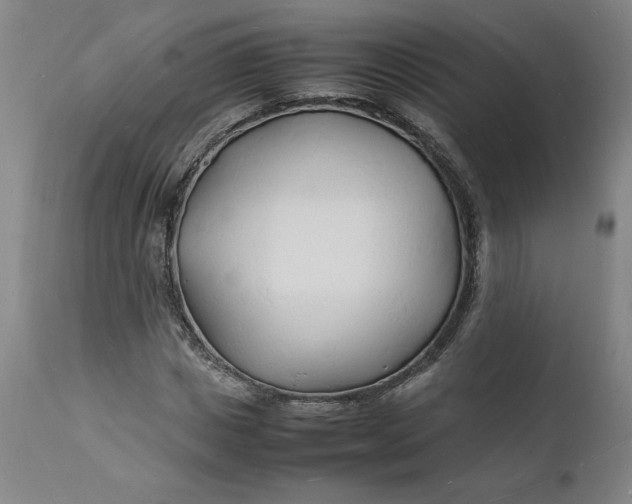 X0000112150825200908281338