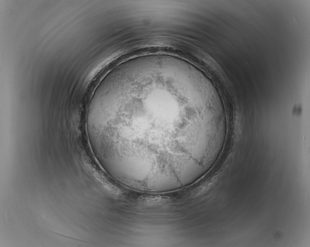 X0000112150826200908281338