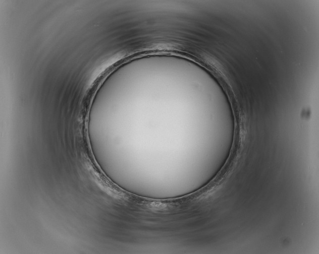 X0000112150827200908281338