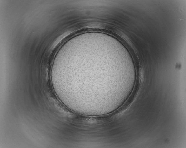 X0000112150829200908281338