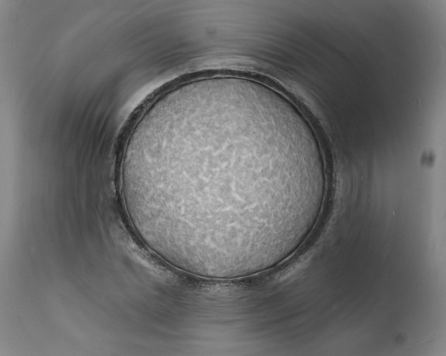 X0000112150830200908281338