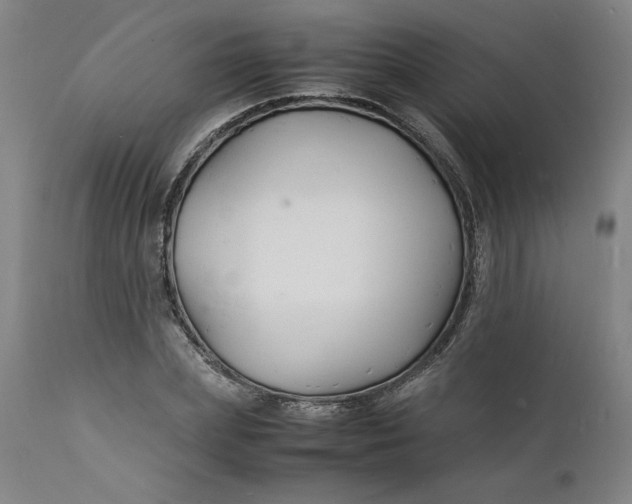 X0000112150831200908281338