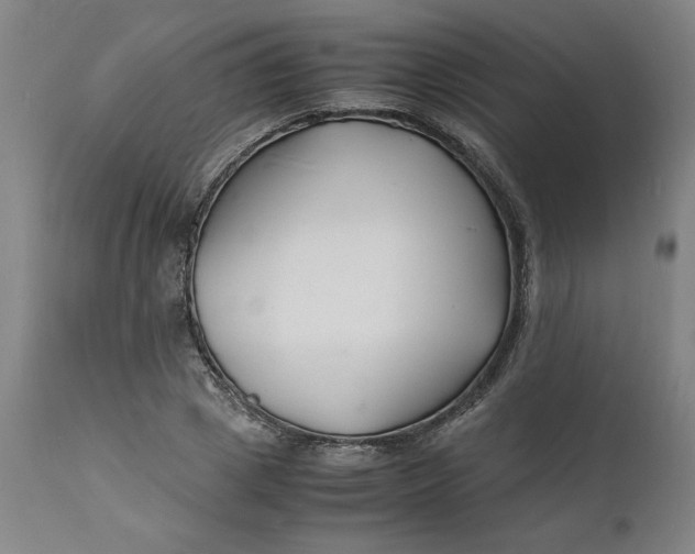 X0000112150833200908281338