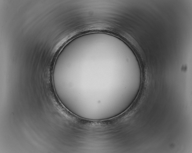 X0000112150834200908281338