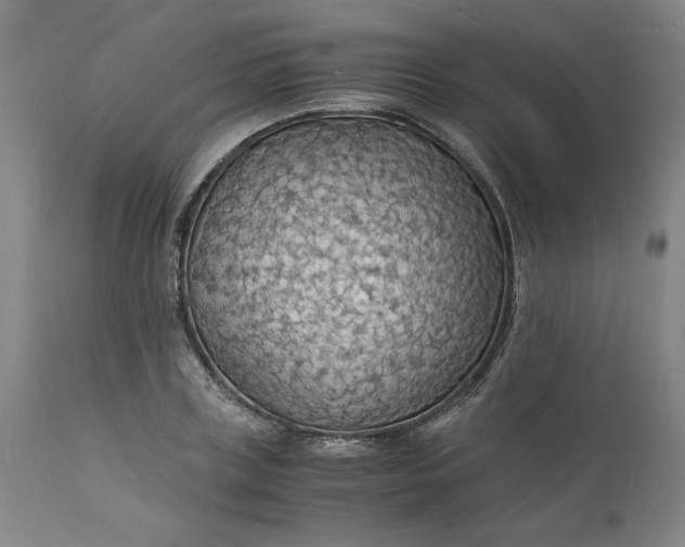X0000112150835200908281338