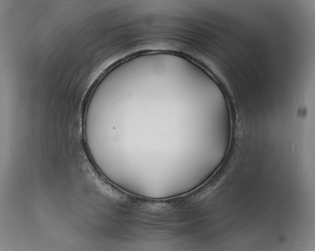 X0000112150837200908281338