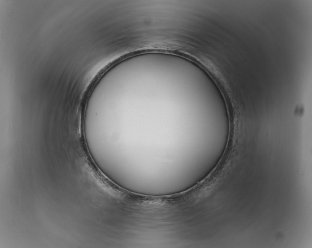 X0000112150838200908281338